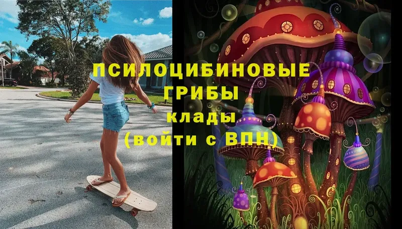 Псилоцибиновые грибы Magic Shrooms  MEGA сайт  Рязань 